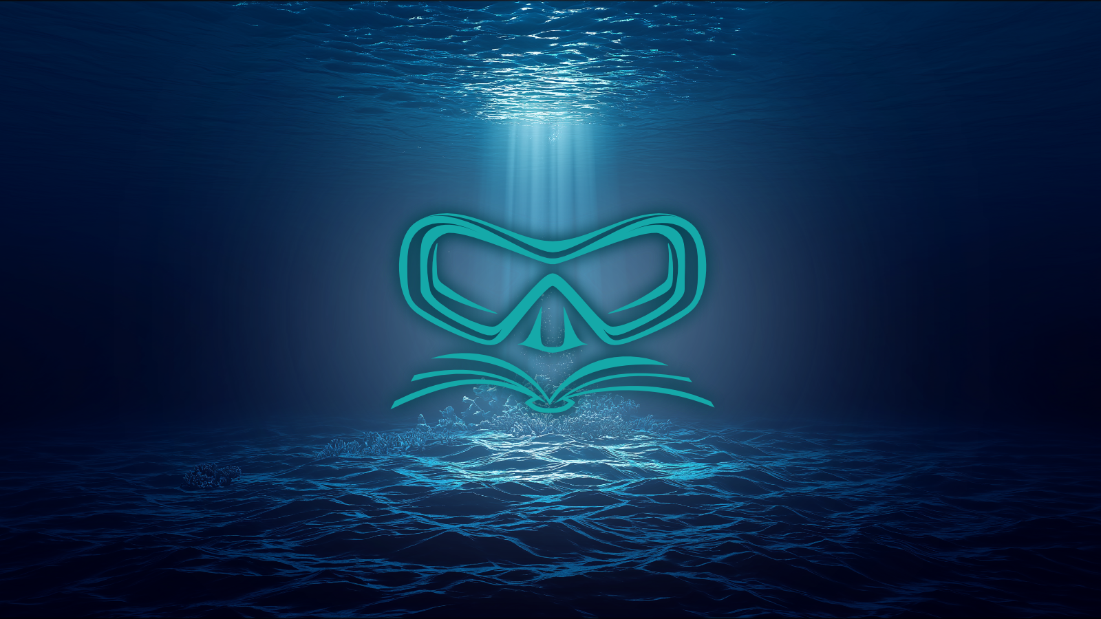 Profile banner